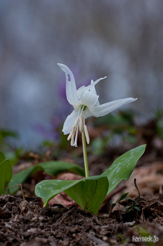 DSC_1032.jpg