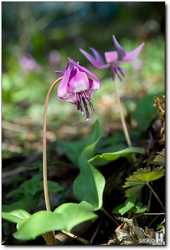 DSCF3575.jpg