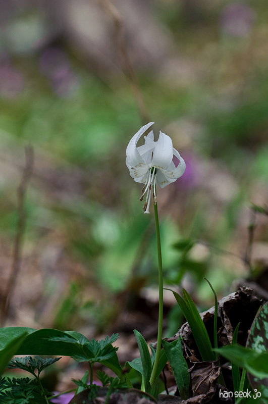DSC_1111.jpg