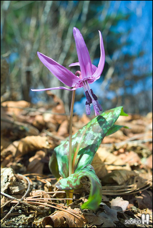 DSCF6060.jpg