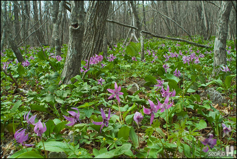 DSCF6427.jpg