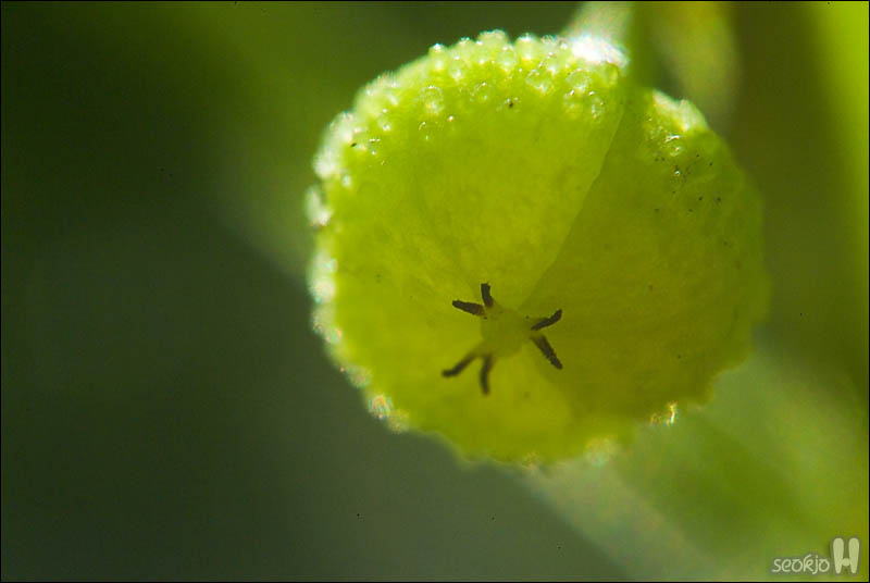 DSCF5551.jpg