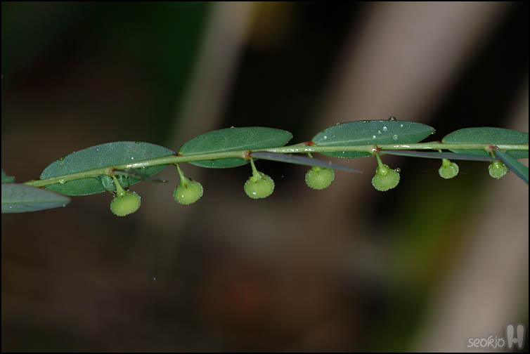 DSCF3770.jpg