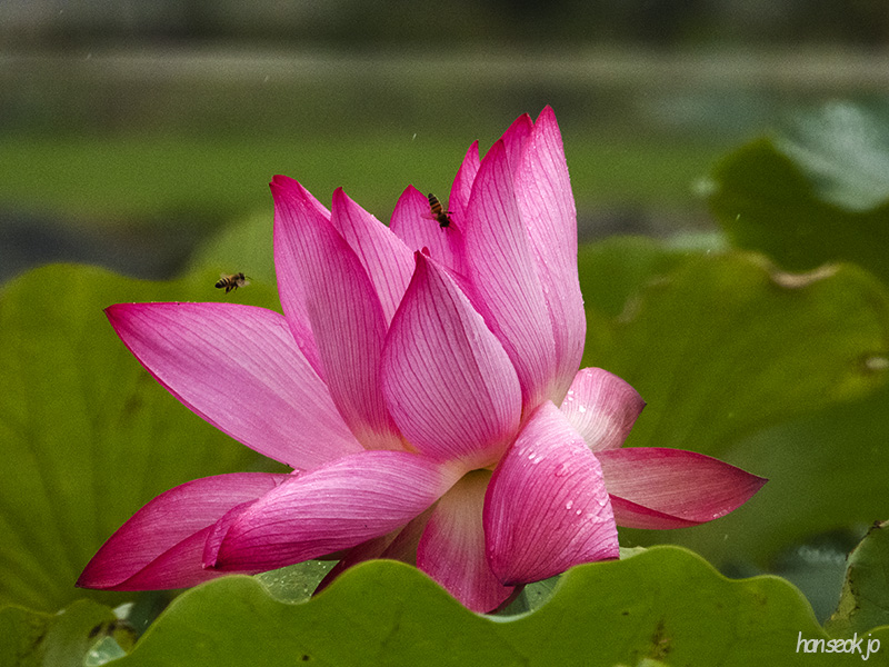DSCN0346.jpg