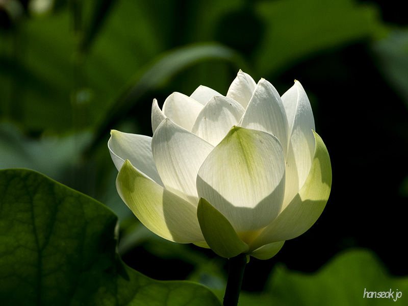 DSCN1080.jpg