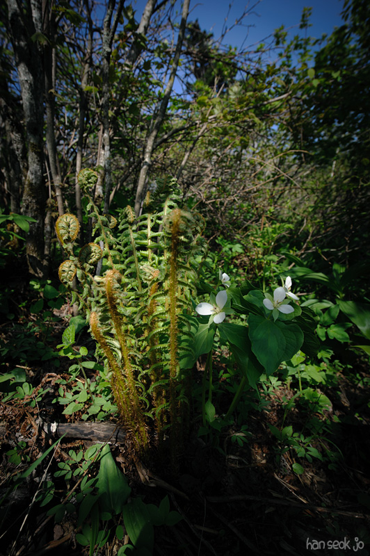 HSJ_3041.jpg