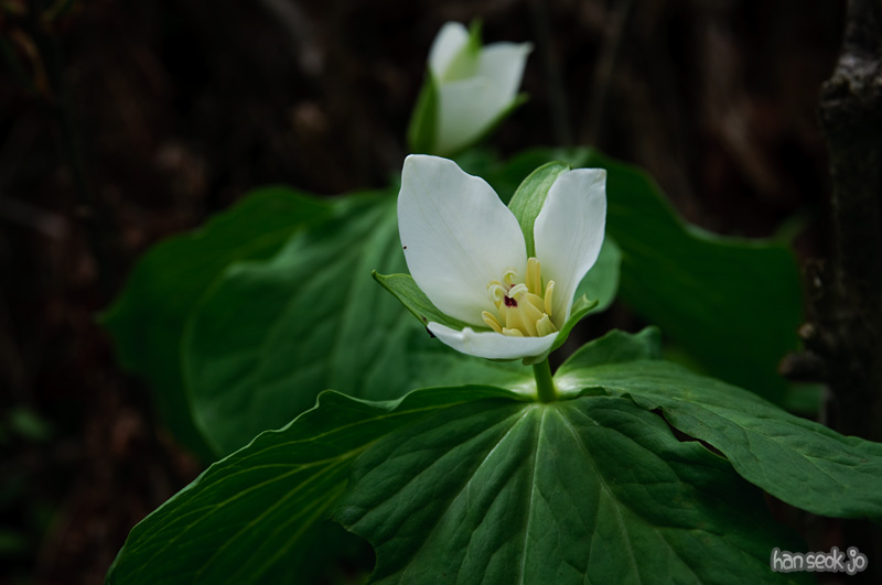 DSC_6553.jpg