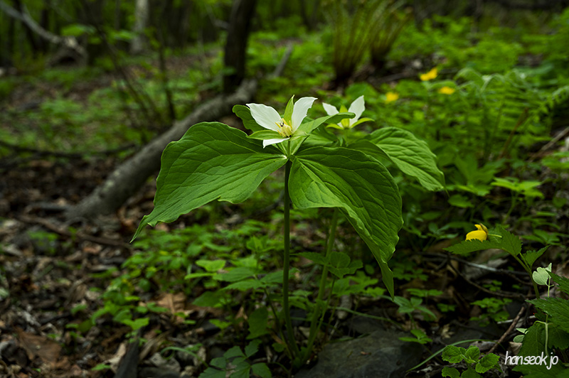 DSC_5159.jpg