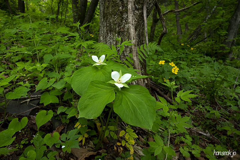 DSC_5147.jpg
