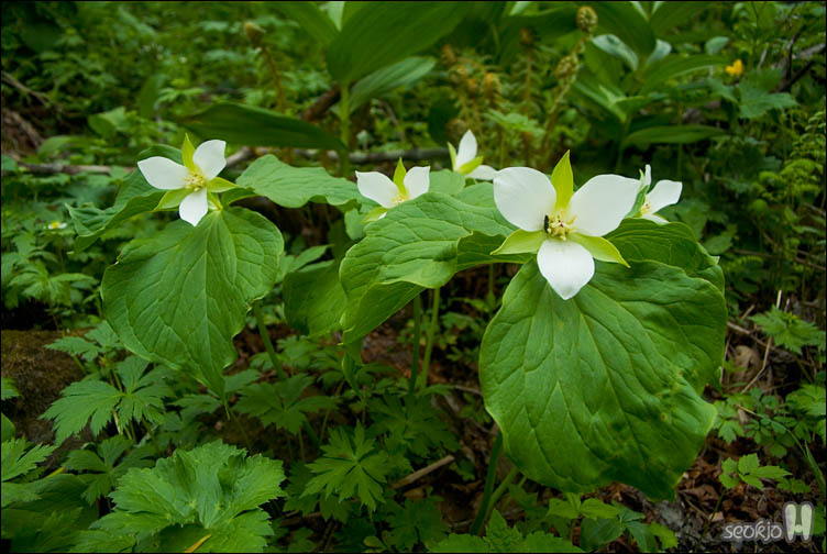 DSCF8759.jpg