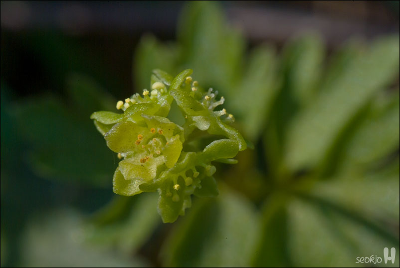 DSCF7637.jpg