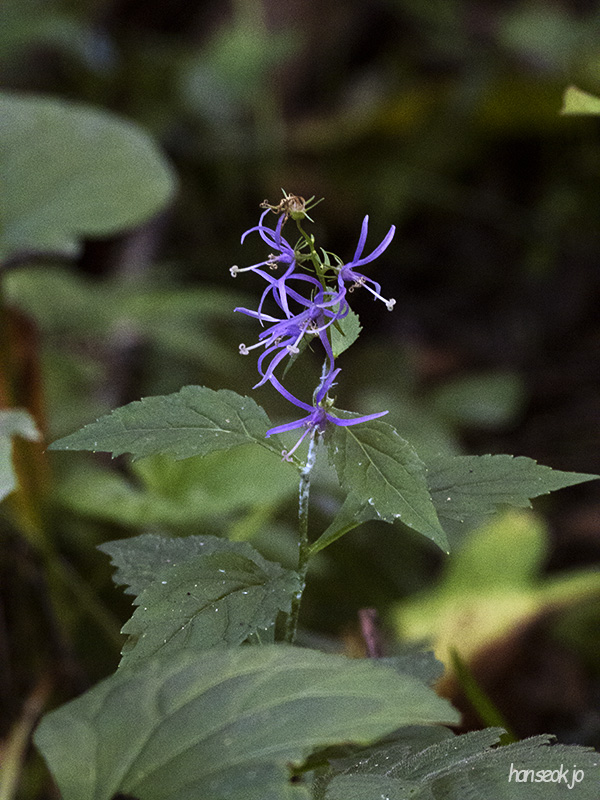 DSCN1195.jpg