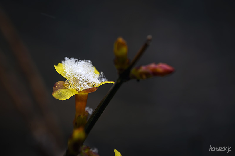 DSC_1567.jpg