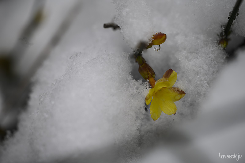 DSC_1562.jpg