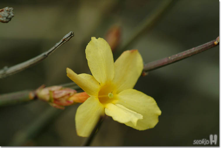 DSCF6309.jpg