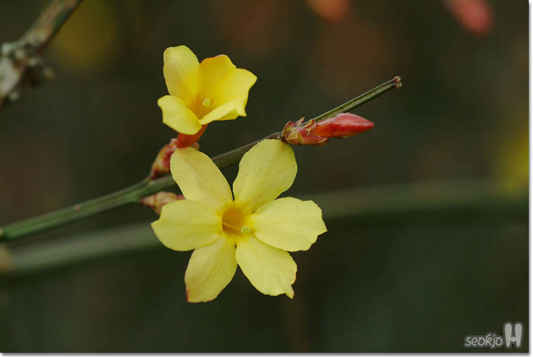 DSCF6310.jpg