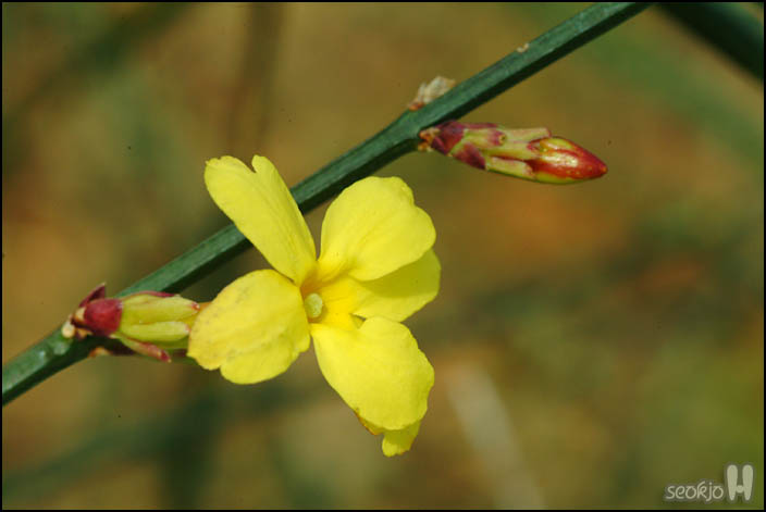 DSCF4768.jpg