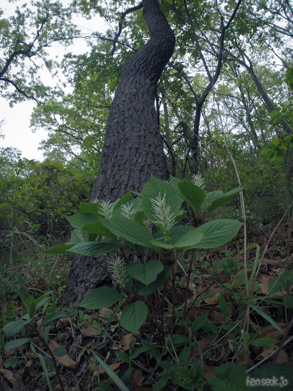 GOPR8053.jpg