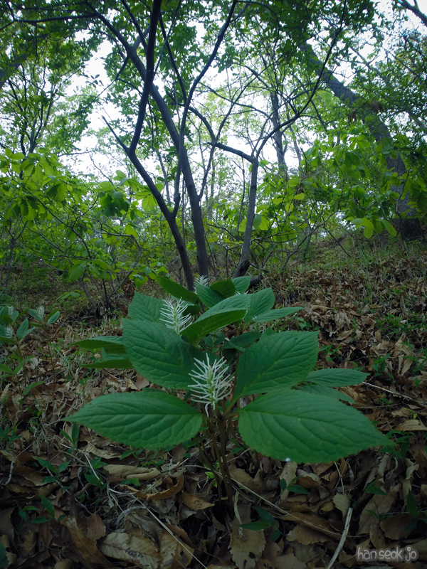 GOPR8056.jpg