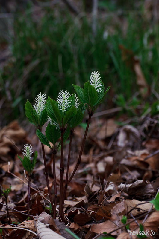 DSC_1284.jpg