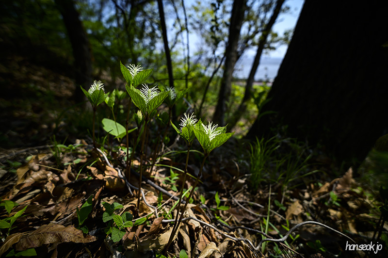 DSC_2308.jpg