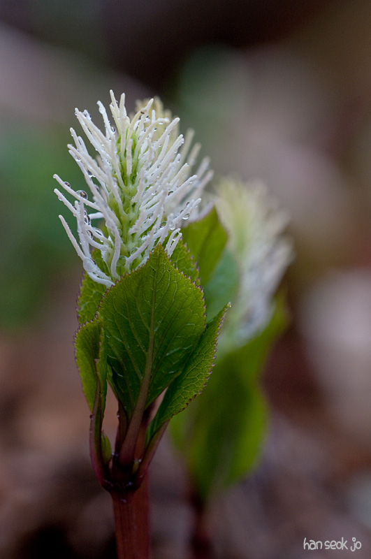 DSC_1095.jpg