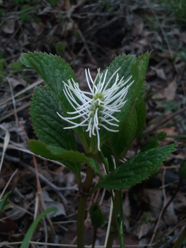 2011-04-30.jpg