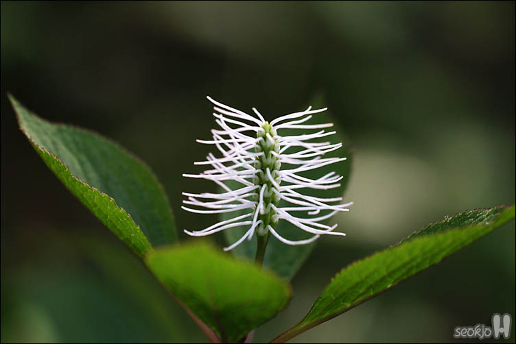 DSCF8474.jpg