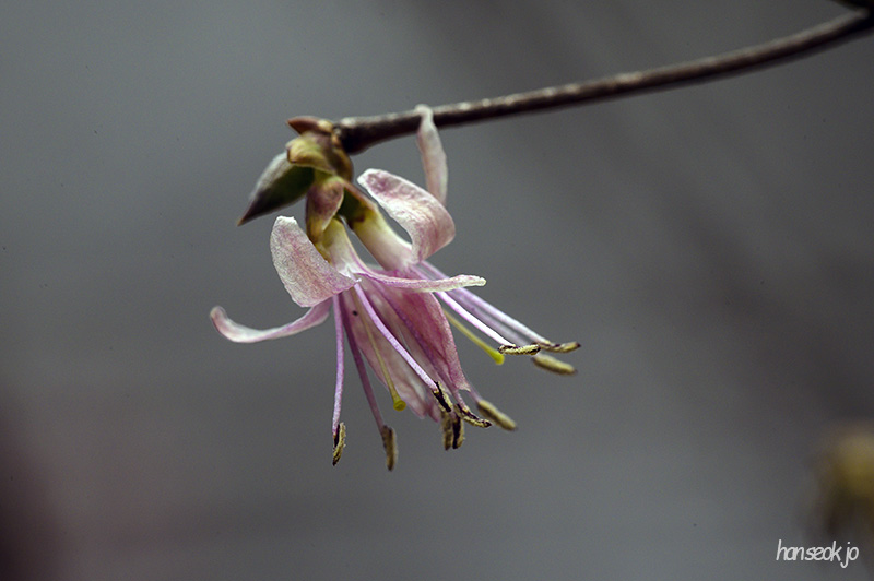 DSC_4786.jpg