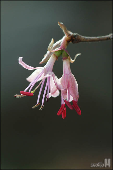 DSCF5862.jpg