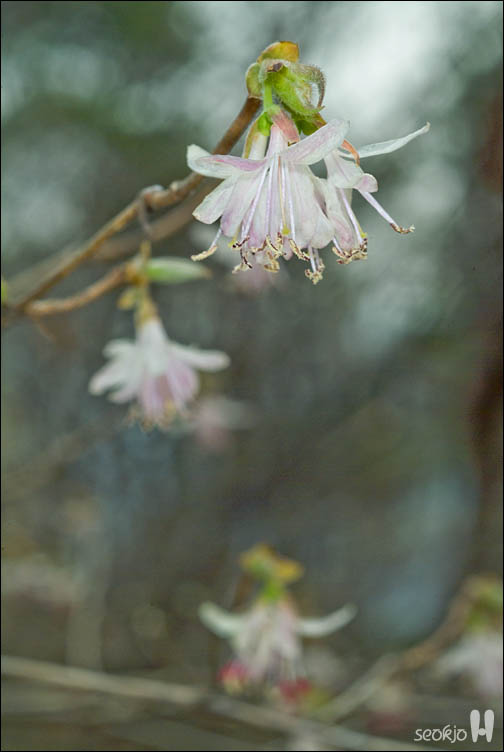 DSCF7241.jpg