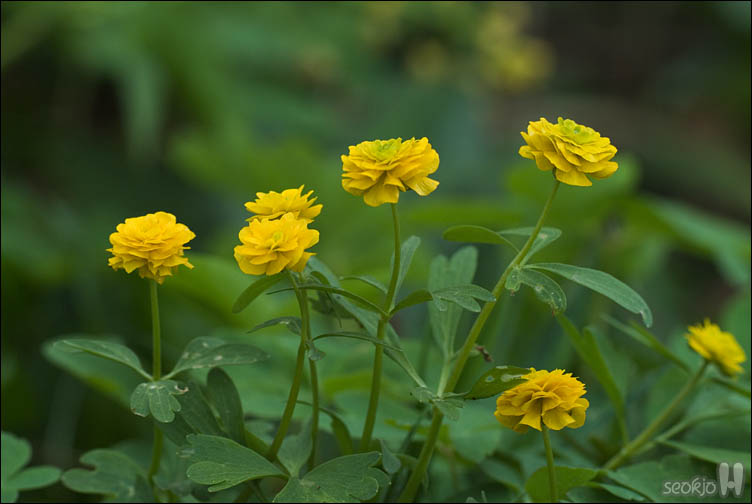 DSCF0351.jpg