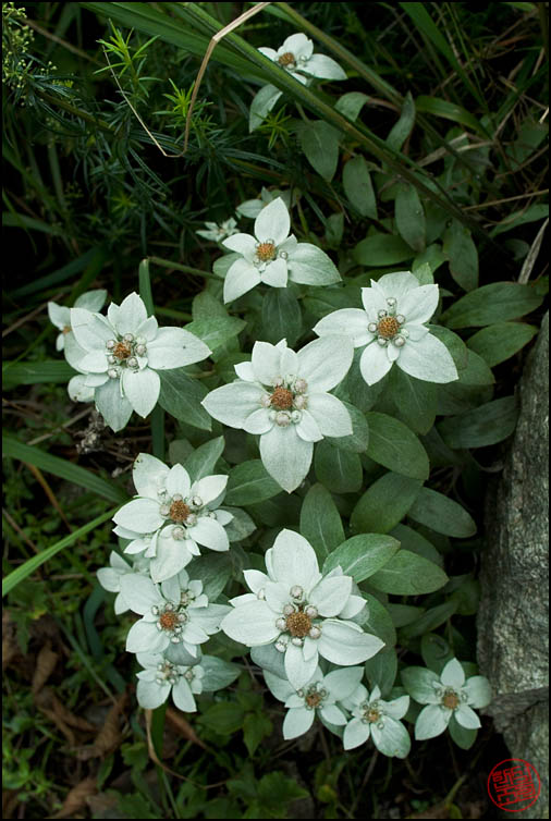 DSCF2970.jpg