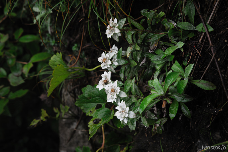HSJ_4462.jpg