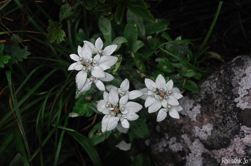 HSJ_4470.jpg