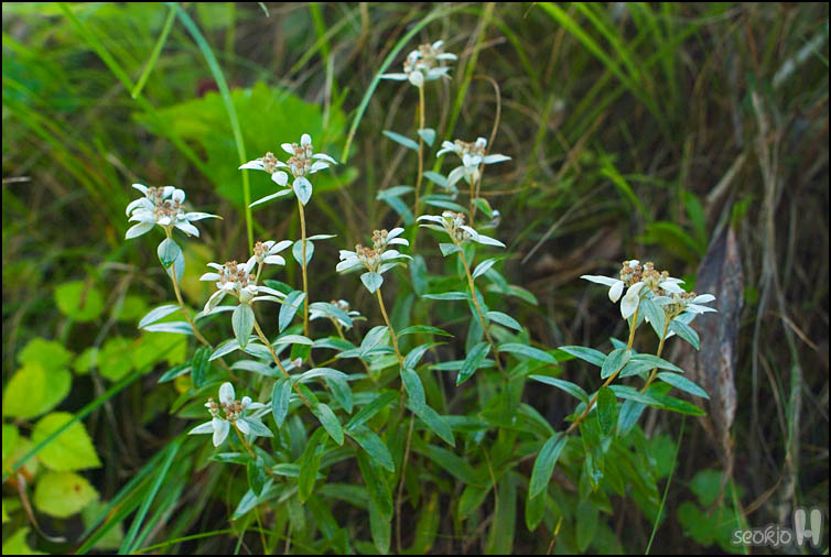 DSCF8588.jpg