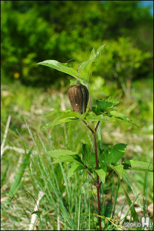 DSCF6814.jpg
