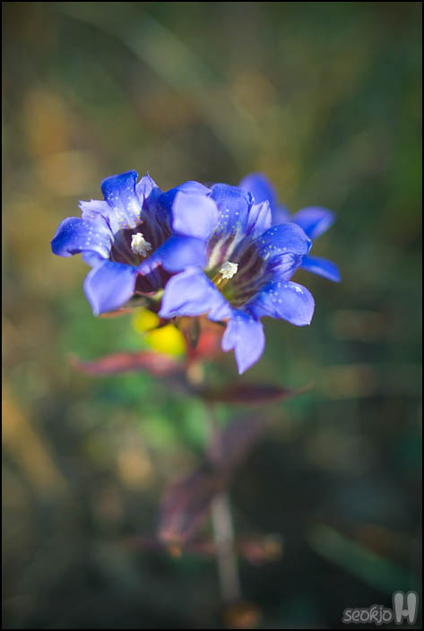 DSCF0634.jpg