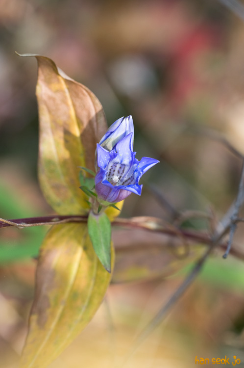 DSC_8640.jpg