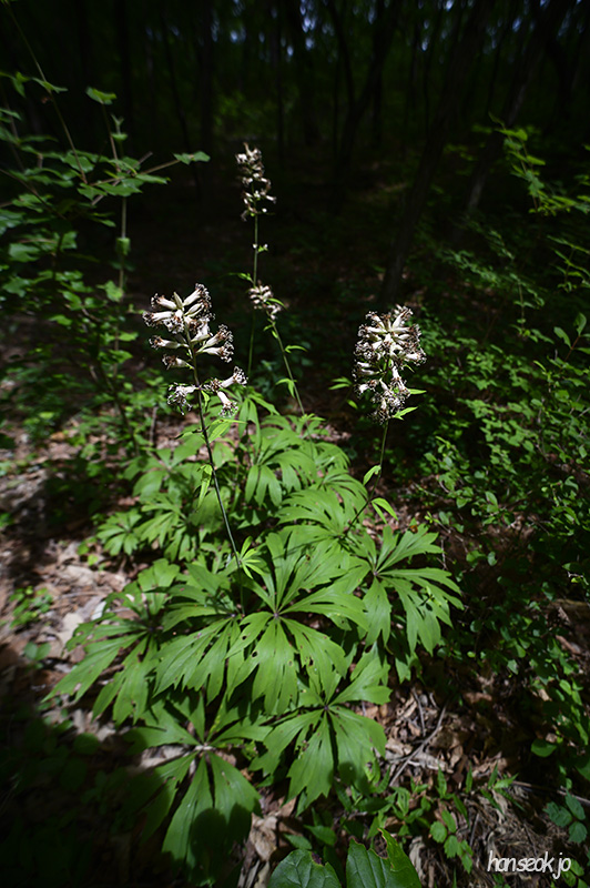DSC_3073.jpg