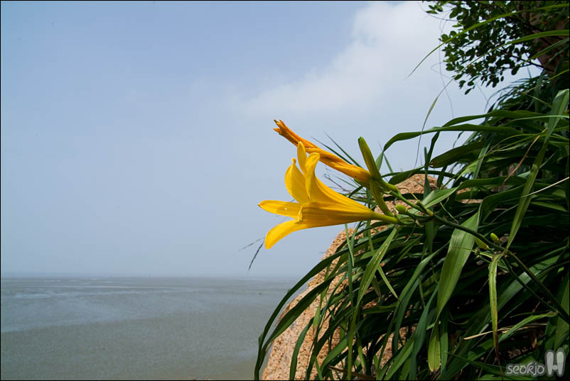 DSCF4251.jpg