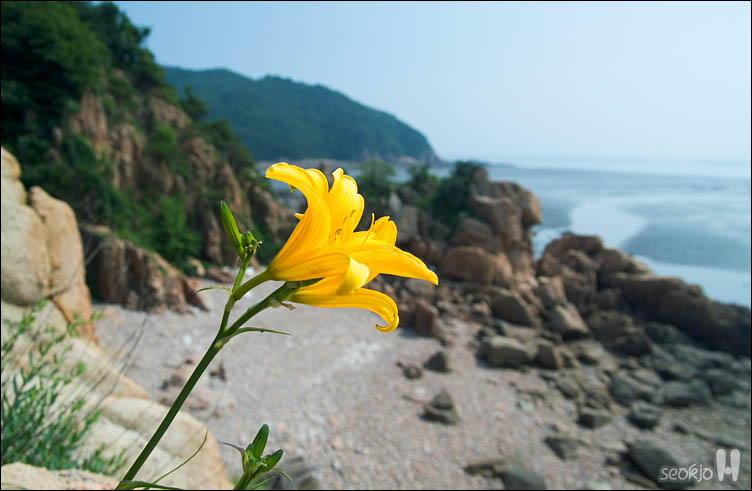DSCF9768.jpg