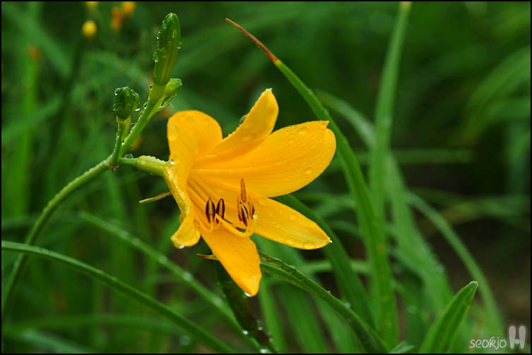 DSCF6736.jpg