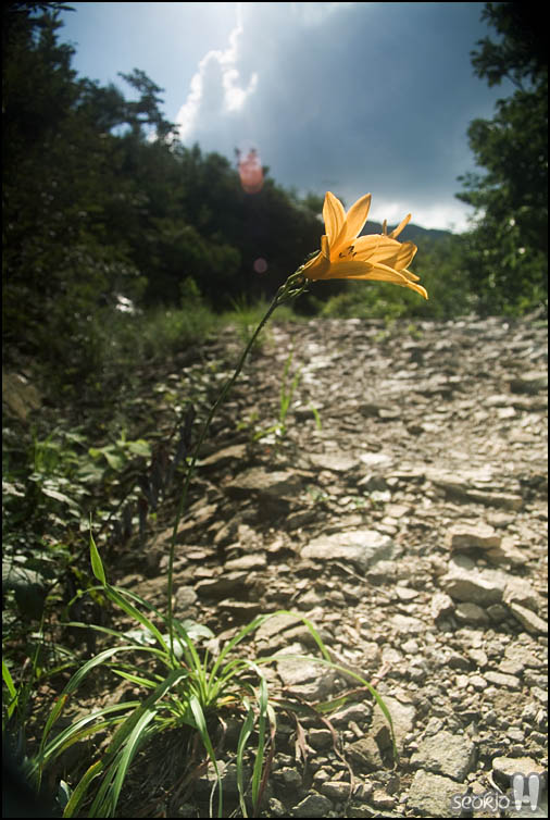 DSCF3036.jpg