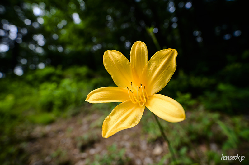 DSC_3006.jpg