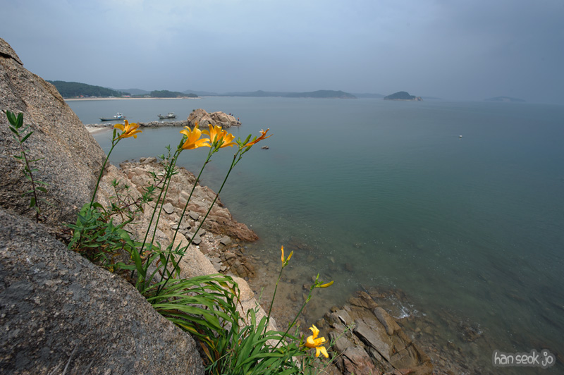 HSJ_2471.jpg