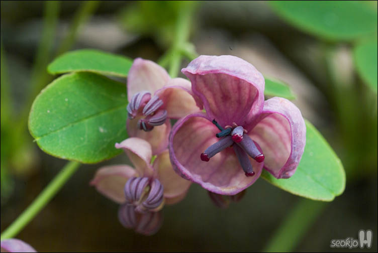DSCF7807.jpg
