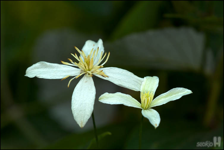 DSCF1787.jpg
