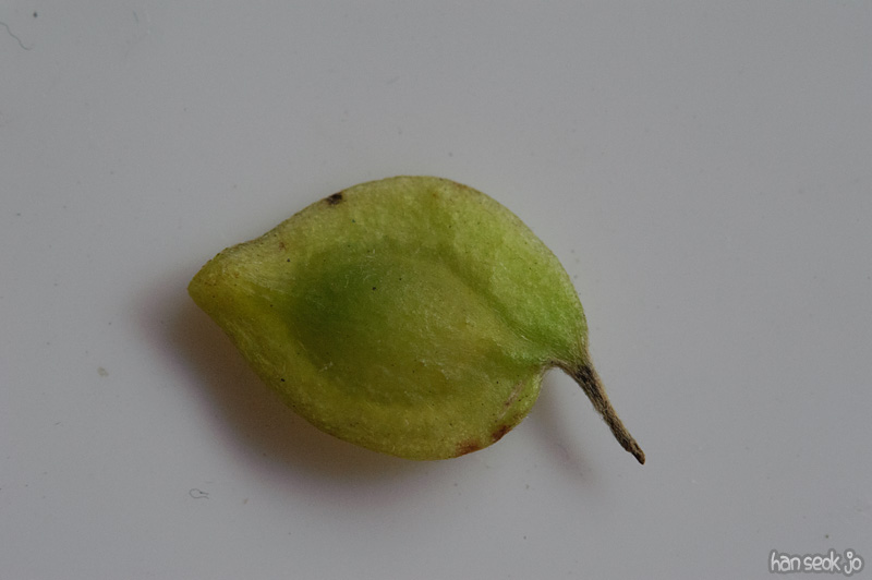 HSJ_0919.jpg