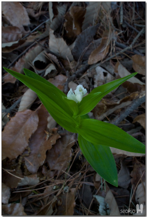 DSCF8420.jpg